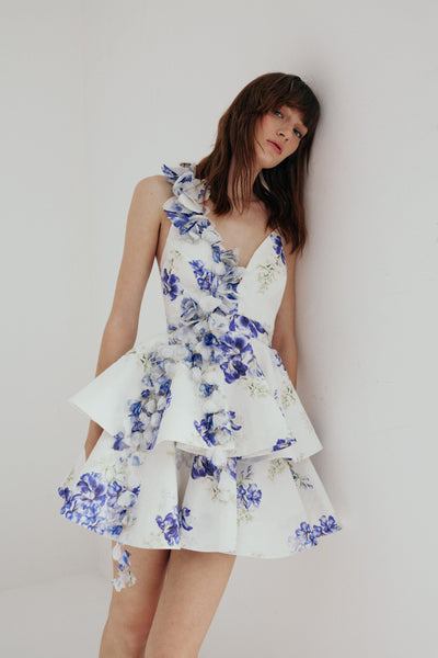 Feryal Dress