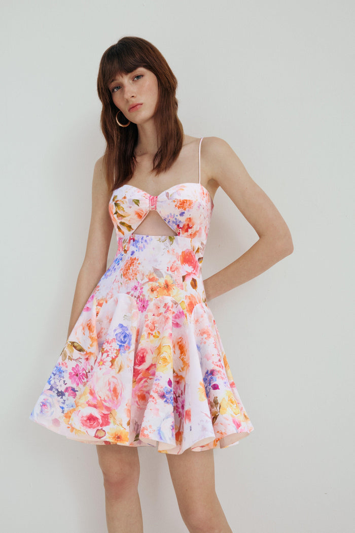 Rose Mini Dress