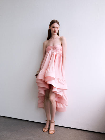 BLUSHE DRESS