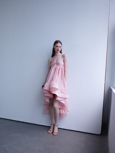 BLUSHE DRESS