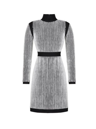Turtleneck Knit Dress