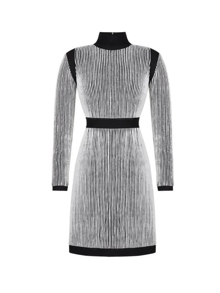Turtleneck Knit Dress